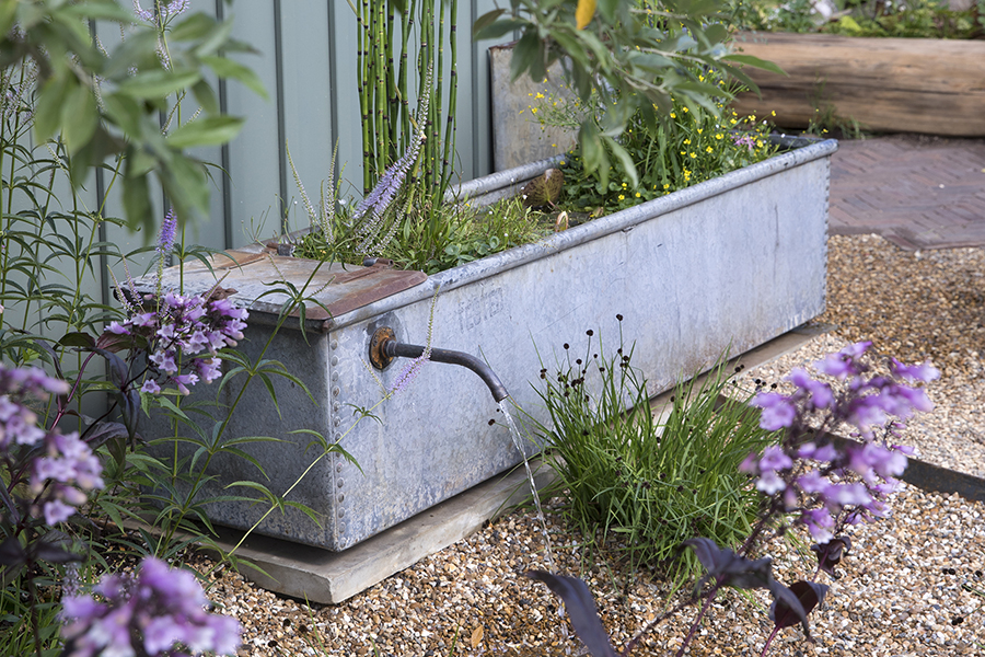 RHS Peat-Free Garden at Hampton Court Palace Garden Festival 2024